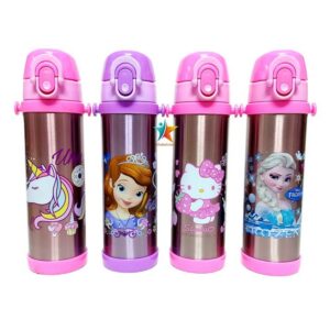 Gourdes Isothermes – Disney & Dessins Animés